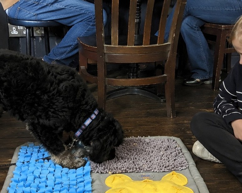 Visit to the Pub