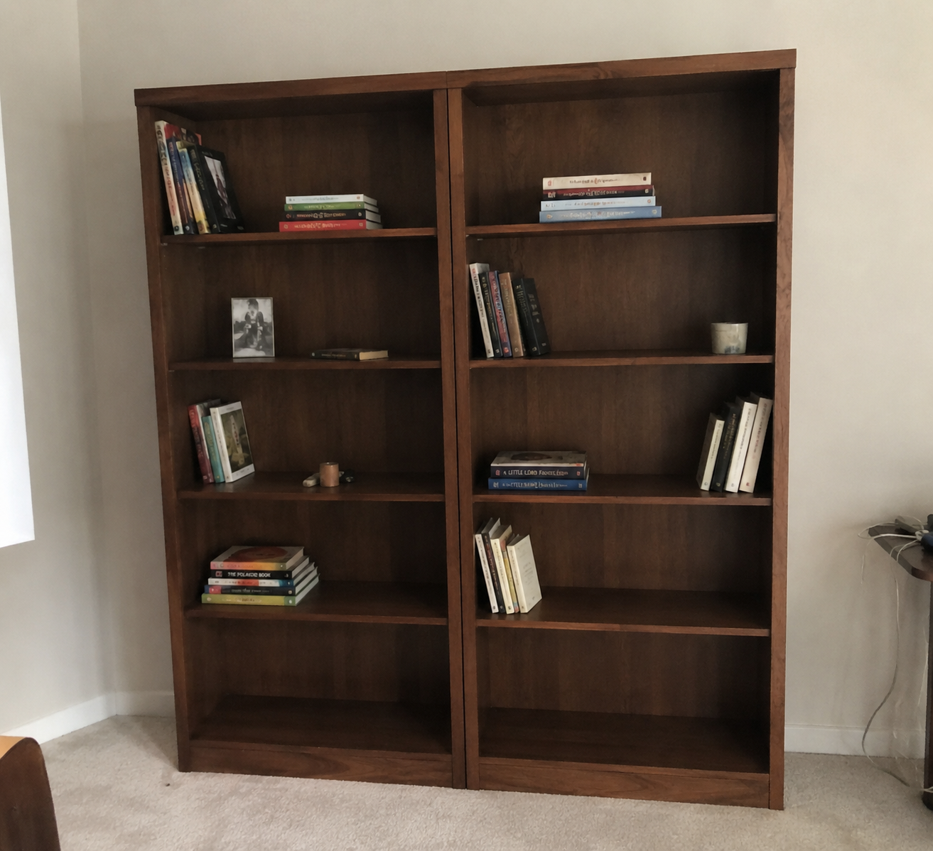 A nearly empty bookcase with just a handful of books per shelf