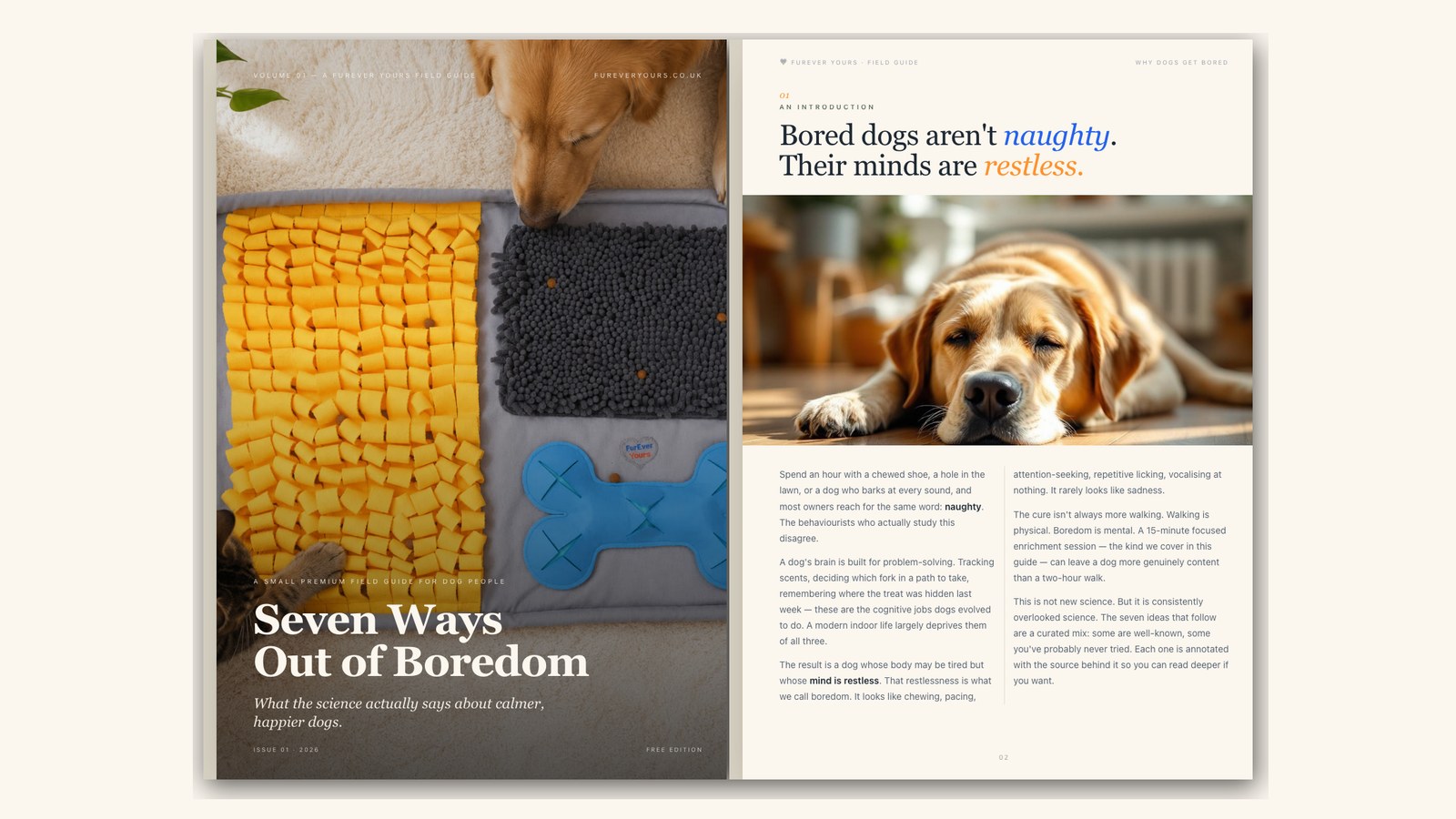 Seven Ways Out of Boredom: A Free Field Guide for Calmer Dogs