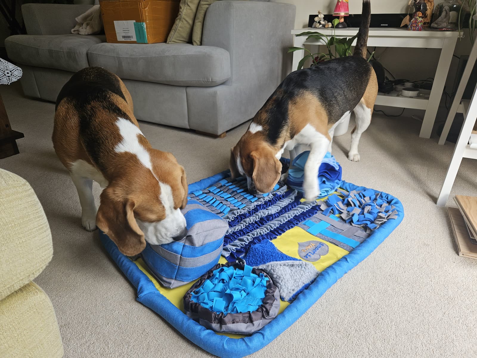 Snooflie Yours Original — our first modular foraging mat — view 2